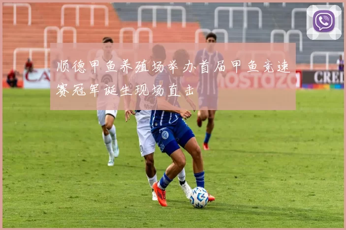 顺德甲鱼养殖场举办首届甲鱼竞速赛冠军诞生现场直击