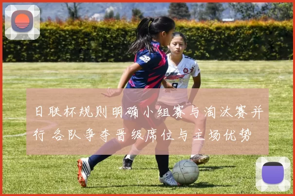 日联杯规则明确小组赛与淘汰赛并行 各队争夺晋级席位与主场优势