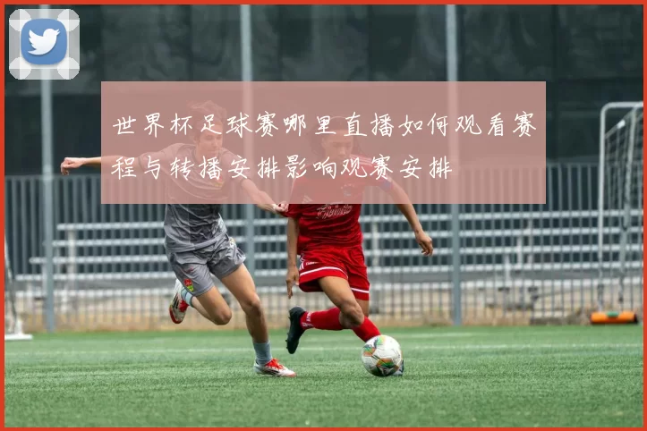 世界杯足球赛哪里直播如何观看赛程与转播安排影响观赛安排