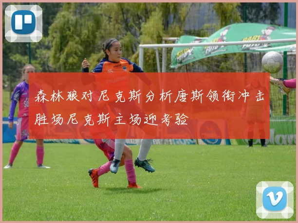 森林狼对尼克斯分析唐斯领衔冲击胜场尼克斯主场迎考验